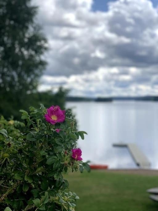 Large Cozy Villa Between Stockholm And Oslo Åmotfors Exterior foto